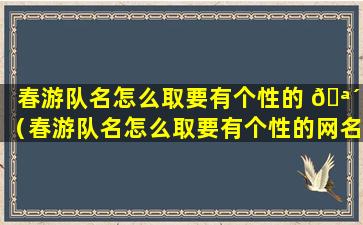 春游队名怎么取要有个性的 🪴 （春游队名怎么取要有个性的网名）